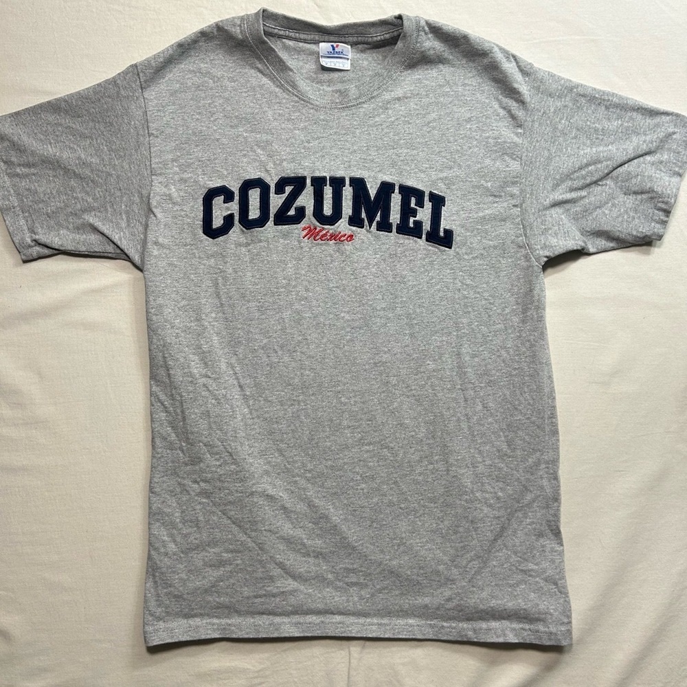 Cozumel Mexico Grey Graphic Short Sleeve Tee by Fruit of the Loom